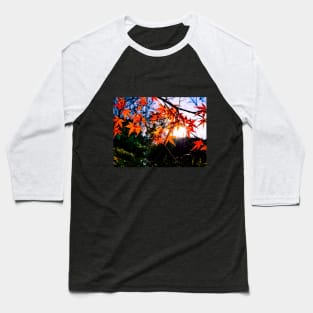 Photography - The sun tries to reach me Baseball T-Shirt